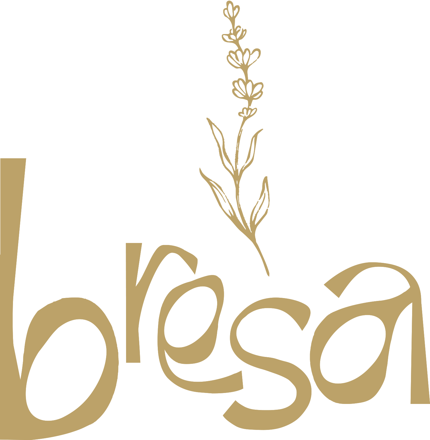 Bresa